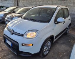 Fiat Panda 1.0 Firefly Hybrid City Life S&S 70 cv