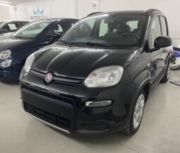 Fiat Panda 1.0 Firefly Hybrid City Life S&S 70 cv